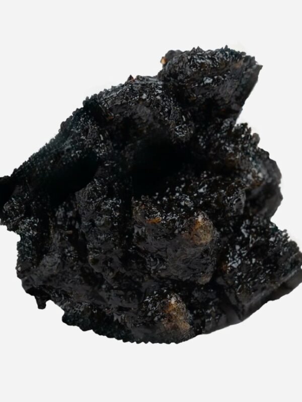 Sweatshirt in two colors